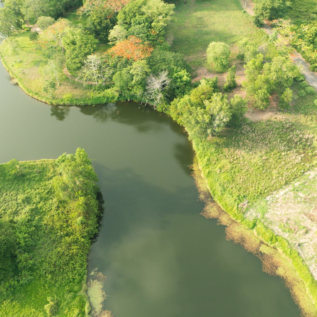 Mediterranean Regional Response to the European Water Resilience Strategy