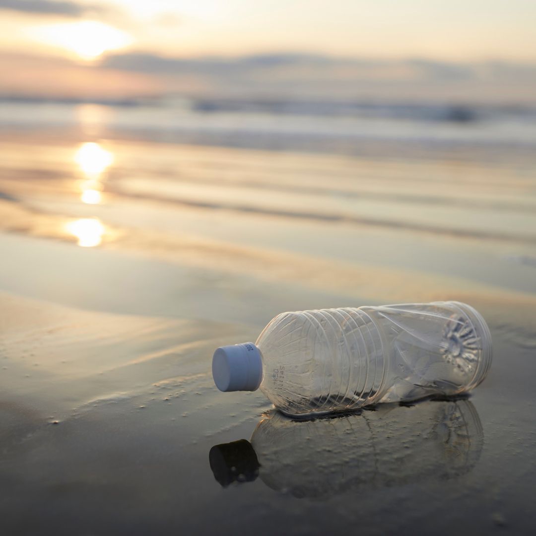 Marine litter sustainable management and valorisation