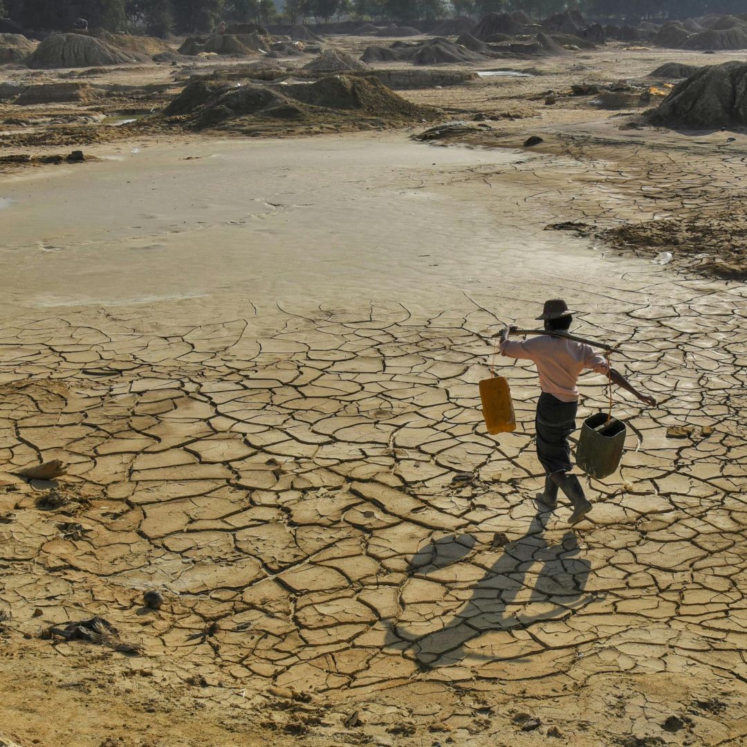 Water scarcity and landscape ecosystems