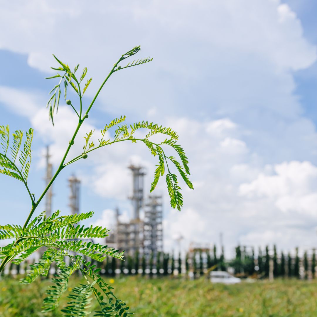 Ecosystem assets for green territorial development