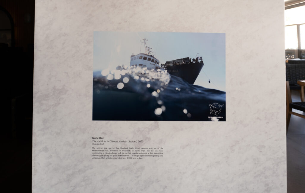 DesirMED exhibition