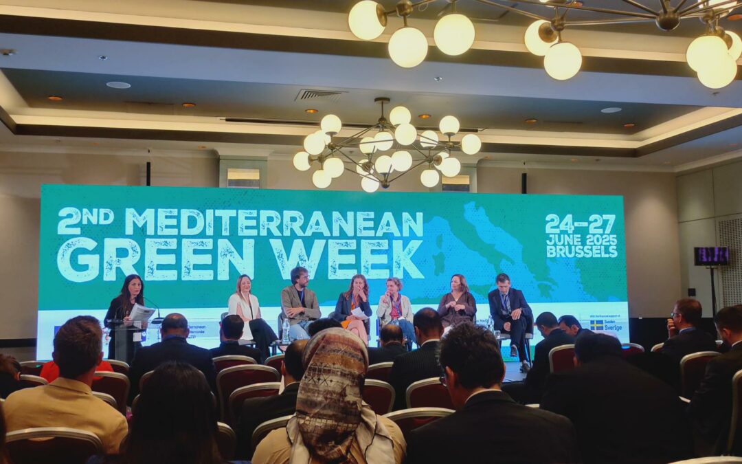 Promoting Green Innovation at UfM’s Mediterranean Green Week