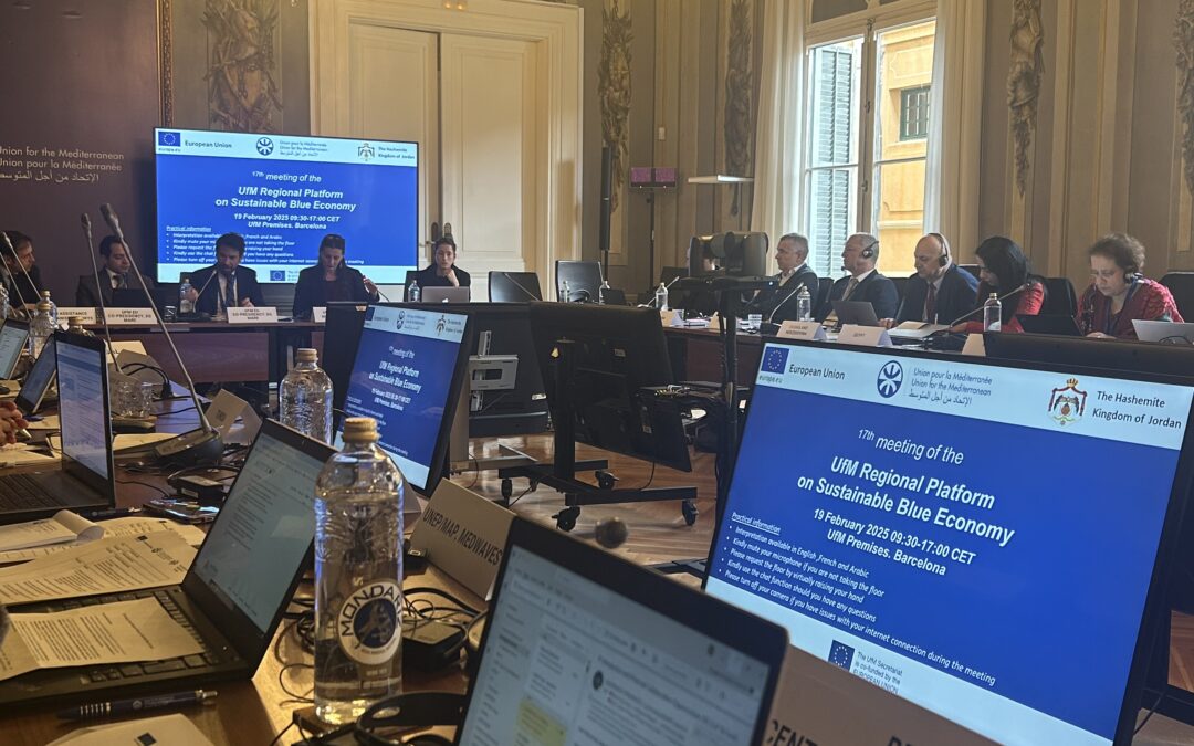 ISE Mission at the meeting of the UfM Regional Platform on SBE