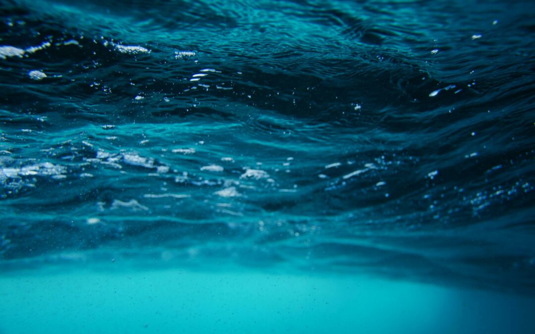 Boosting synergies for innovative solutions in water management, depollution and restoration in the Mediterranean Basin