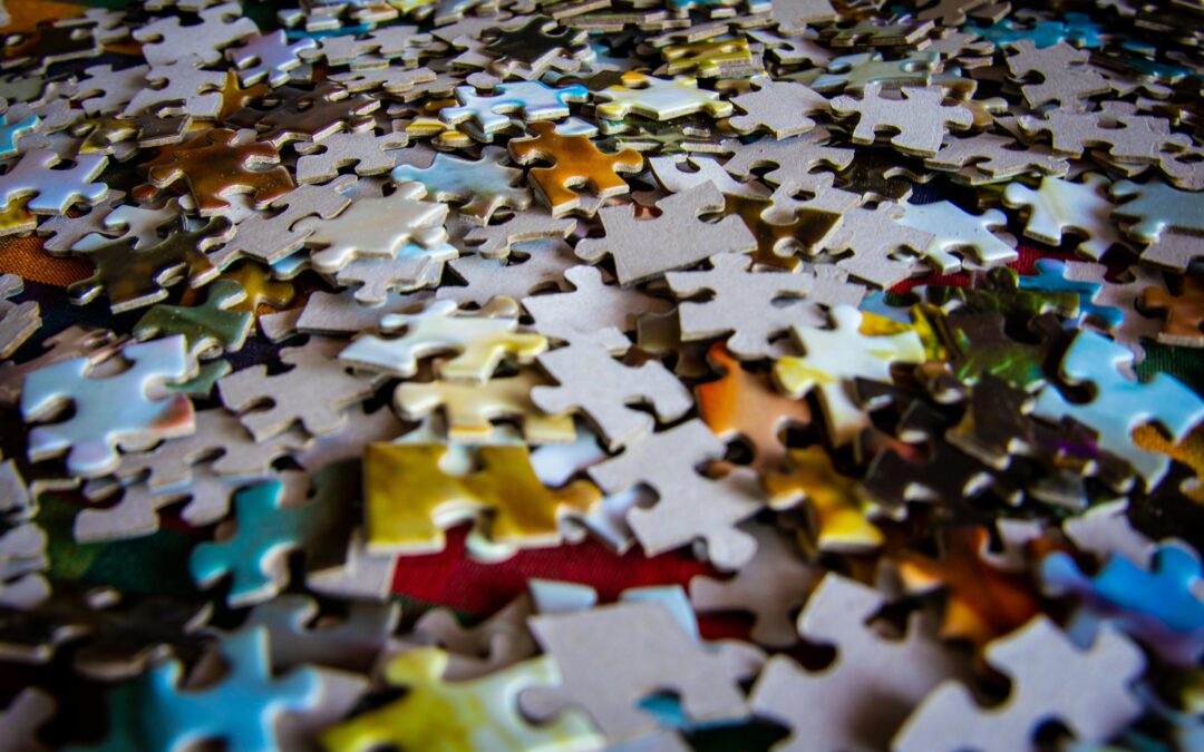 Connecting ideas to create impact: Francesco Camonita’s perspective